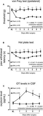 Oxytocin Relieves Neuropathic Pain Through GABA Release and Presynaptic TRPV1 Inhibition in Spinal Cord